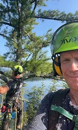 Tree Service in the Lakes Region