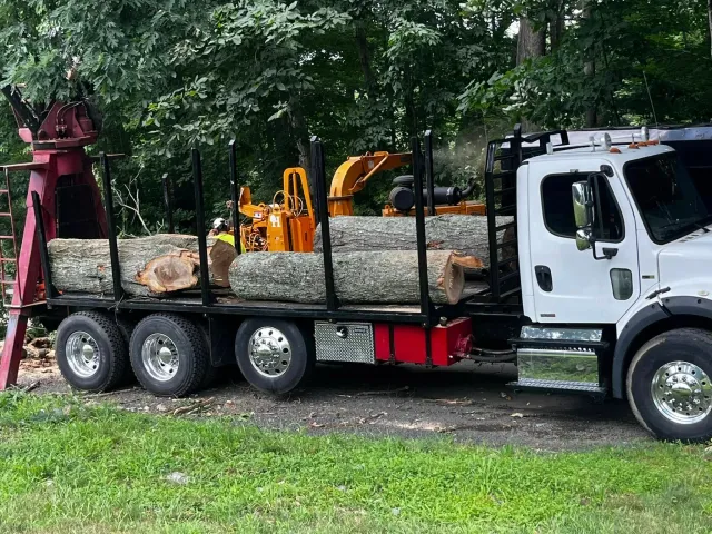 A large white flatbed truck with a crane lifting cut logs, with dense green trees in the background.