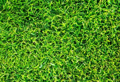 Complete Lawn Care Boston MA