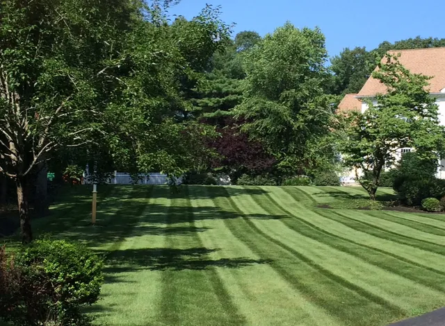 Lawns Gone Green work photo