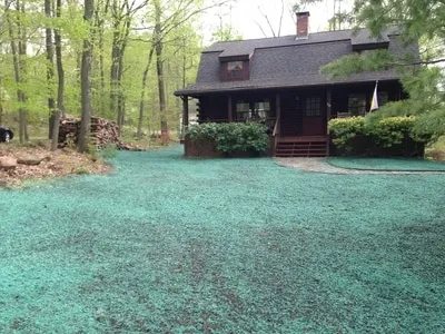 CT Hydroseeding Project 10