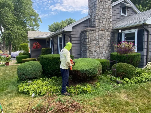 Witman Properties Landscaping work photo