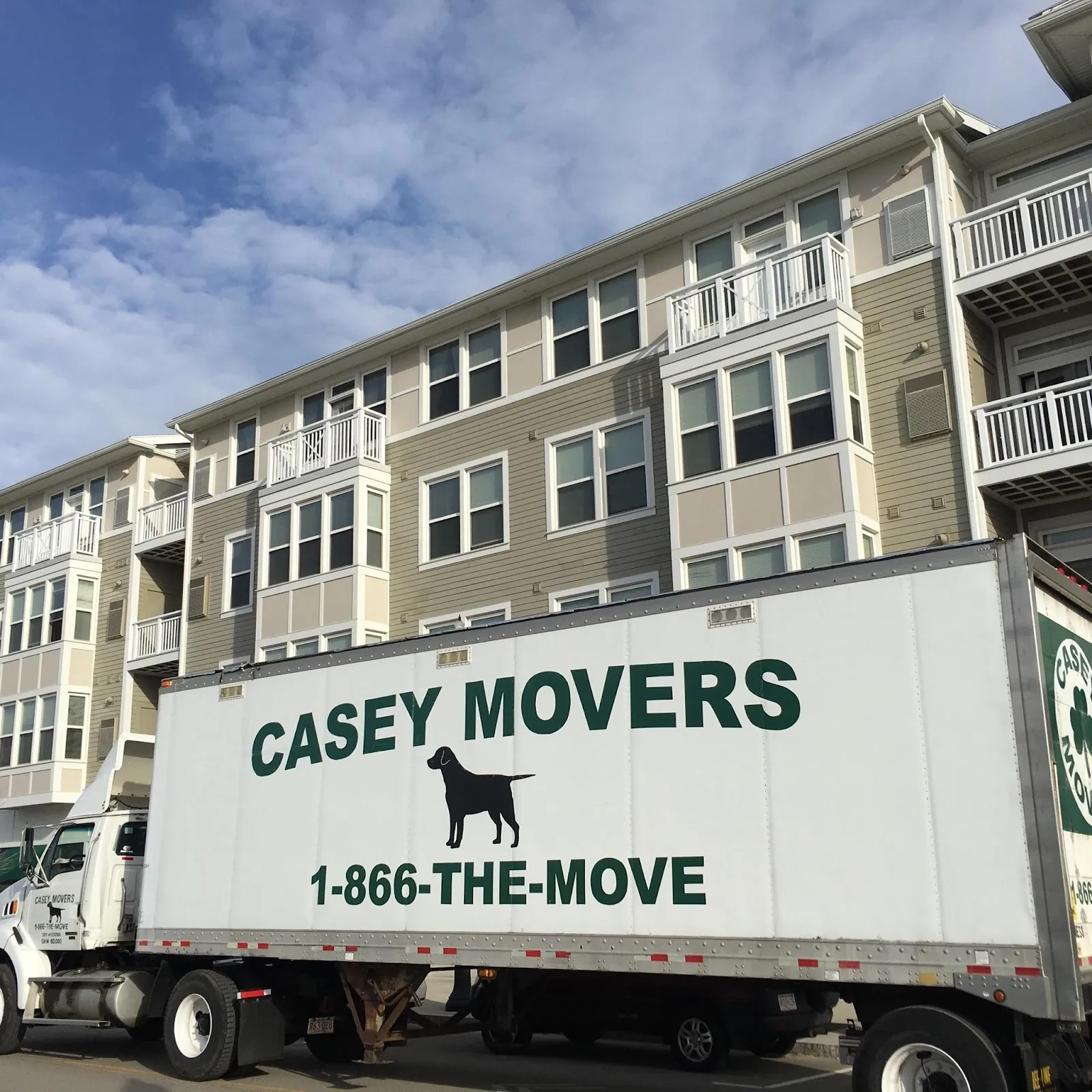 Casey Movers
