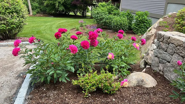 Green Lovers Landscaping Inc work photo