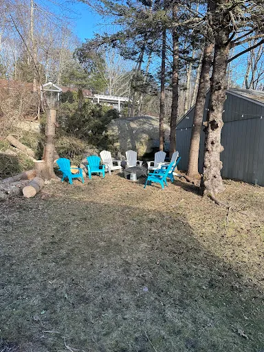 Clark's Tree Service, Inc. work photo