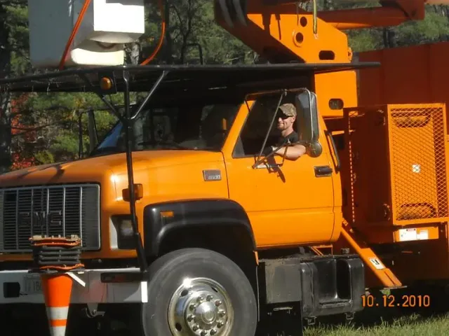 Tree Removal services 7