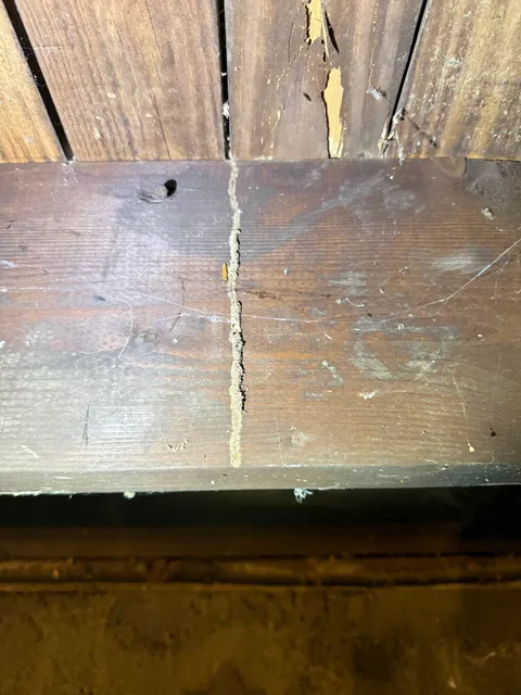 Subterranean termite mud tube identified along basement beam