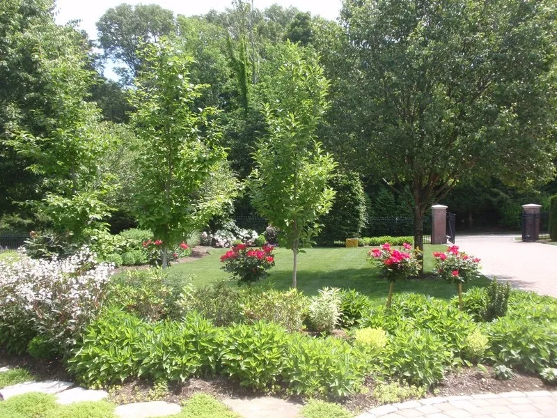 work photo from jbtreeandlandscape.com