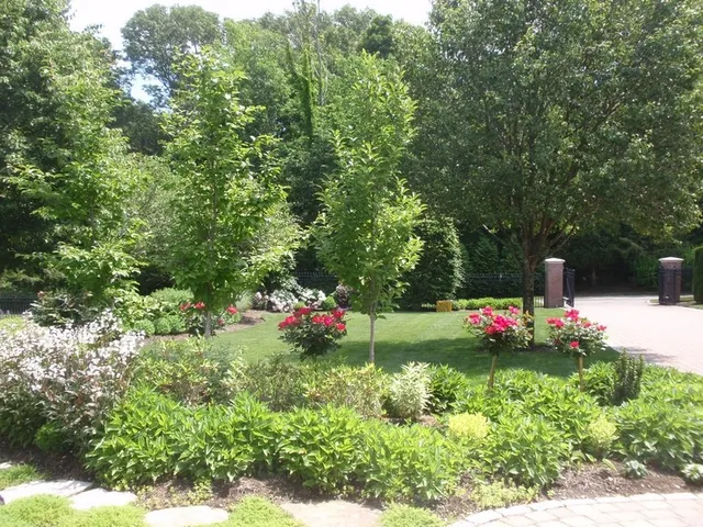 work photo from jbtreeandlandscape.com