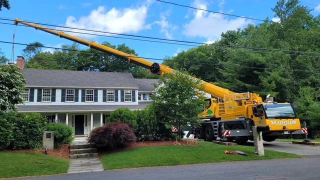 Marquis Tree Service work photo