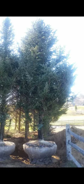 work photo from naturetouchlandscaping.com