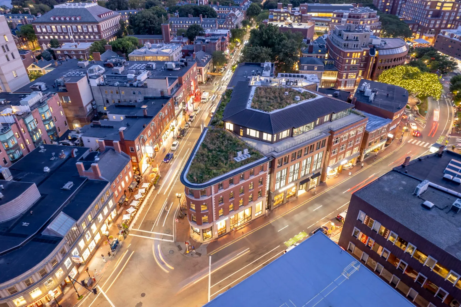 Aerial photo of green roof on the Abbot Building in Harvard Square