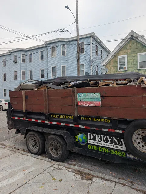 D'Reyna Handyman and Trash Removal work photo