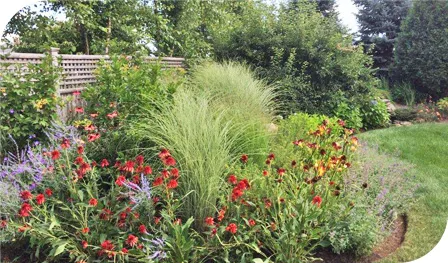 plantings