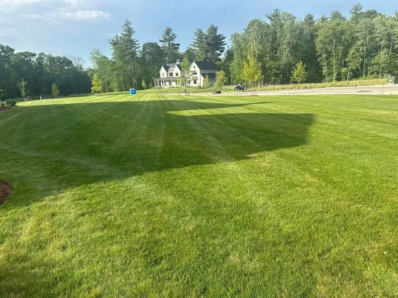 Spring and Fall Yard Cleanups
