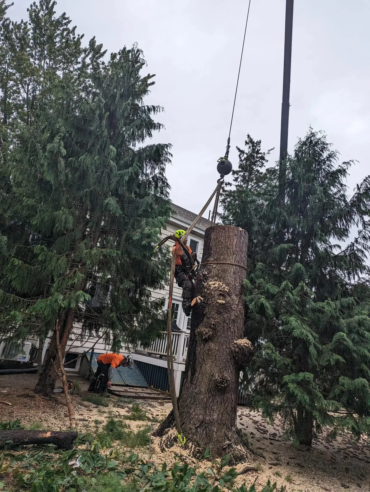 work photo from Google listing