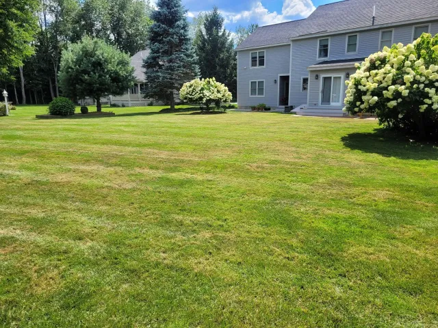 A large lush green lawn in front of a house.