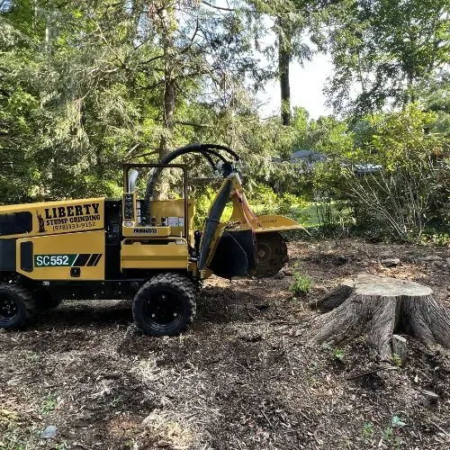 work photo from libertystumpgrinding.com