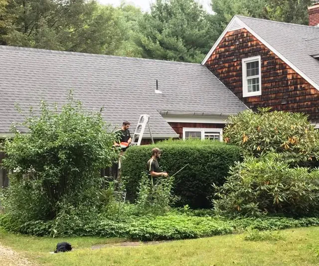 KDF Tree and Landscape LLC work photo