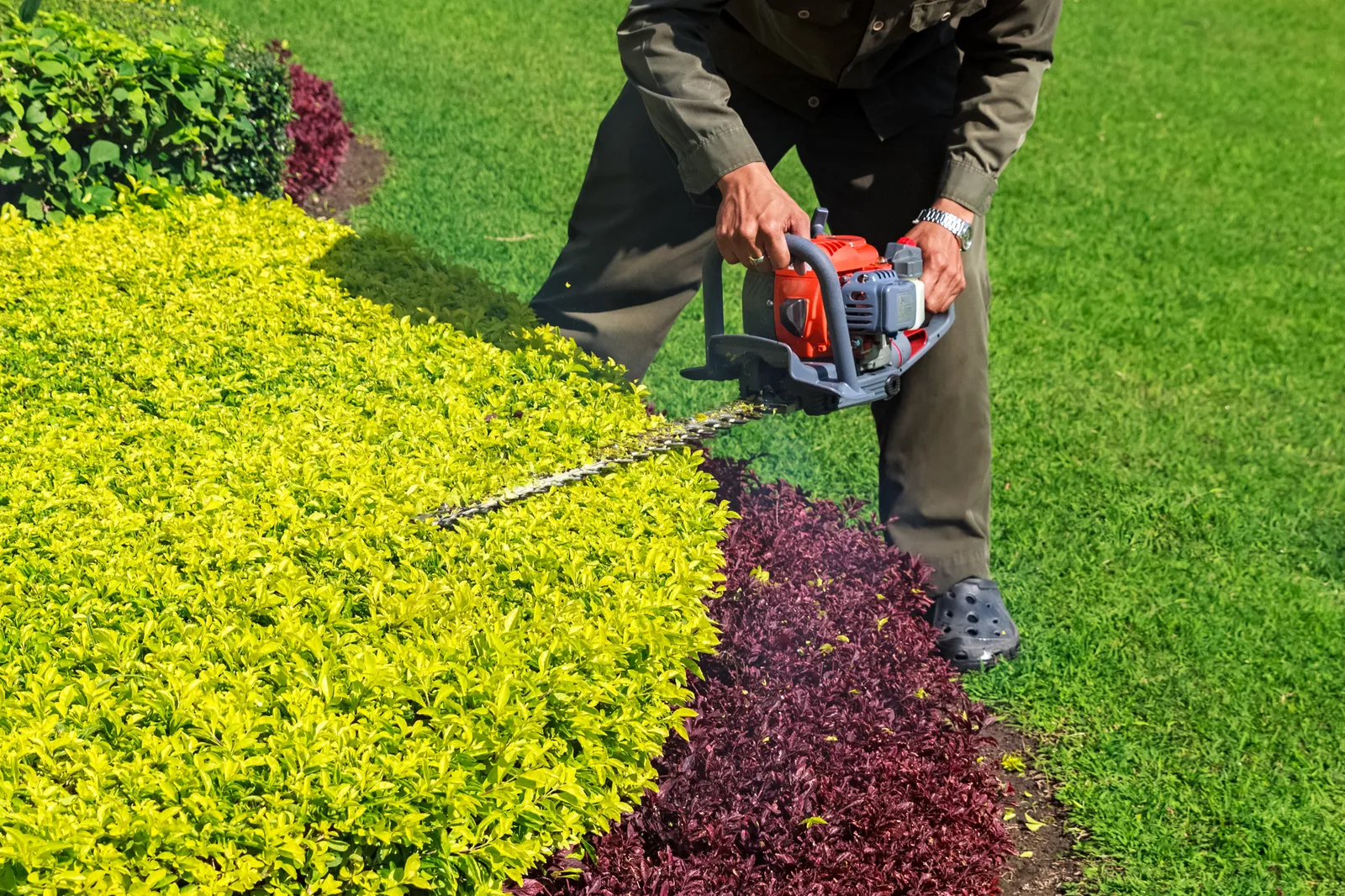 work photo from zammitolandscape.com