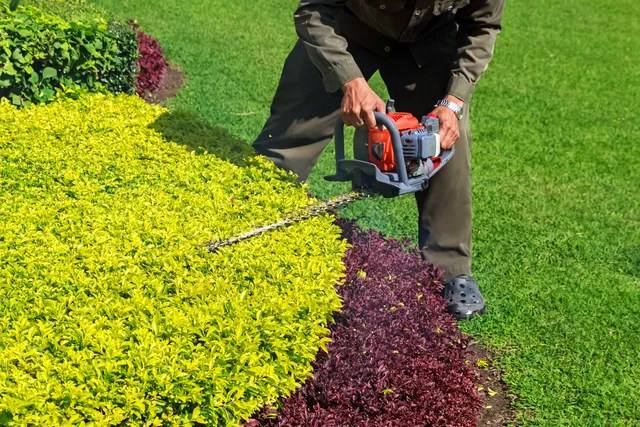 work photo from zammitolandscape.com