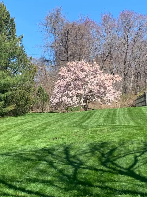 Downey's Landscaping & Maintenance work photo