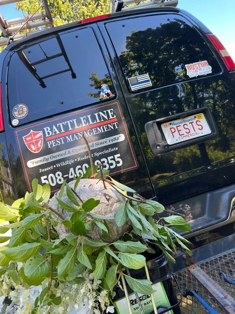 Battleline Pest Management work photo