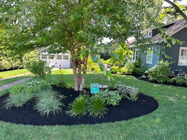 Fred's Landscaping & Irrigation