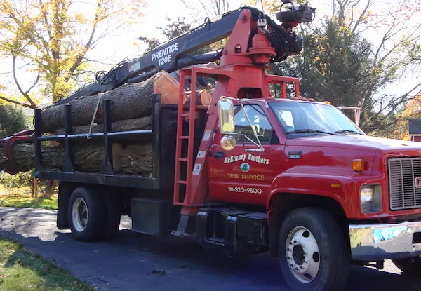 McKinney Brothers log truck