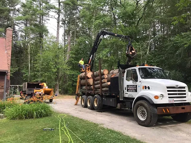 J. Bonin Tree Services, LLC verified work photo