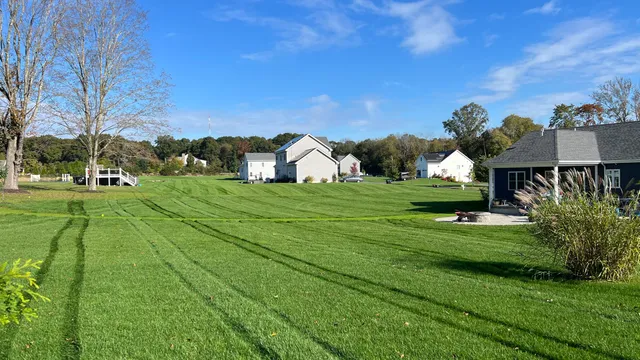 work photo from proturfcare.net