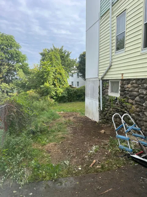 Outdoor property cleanup: after