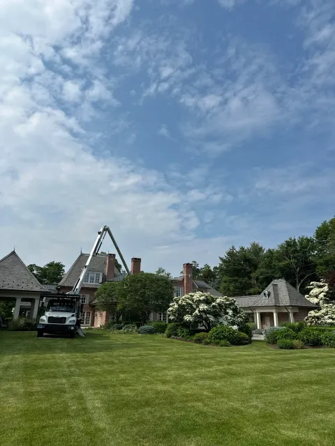 Recent work tree services fairfield county ct showing a completed residential tree service project