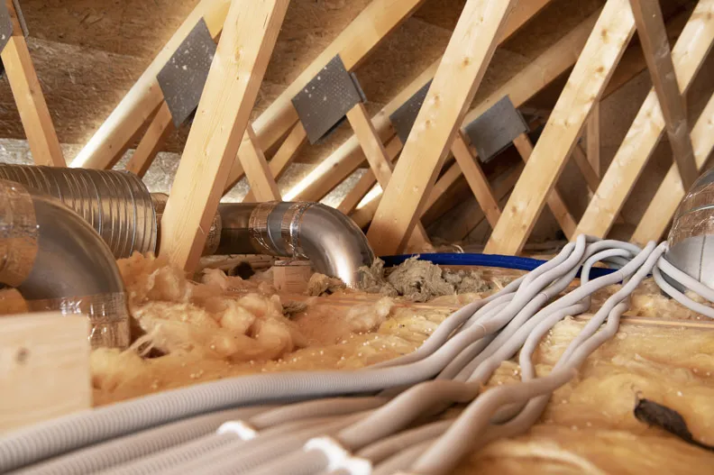 Attic Cleanup
