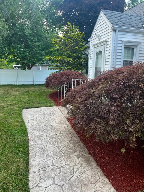 Stone pathway with red mulch bed and Japanese maple
