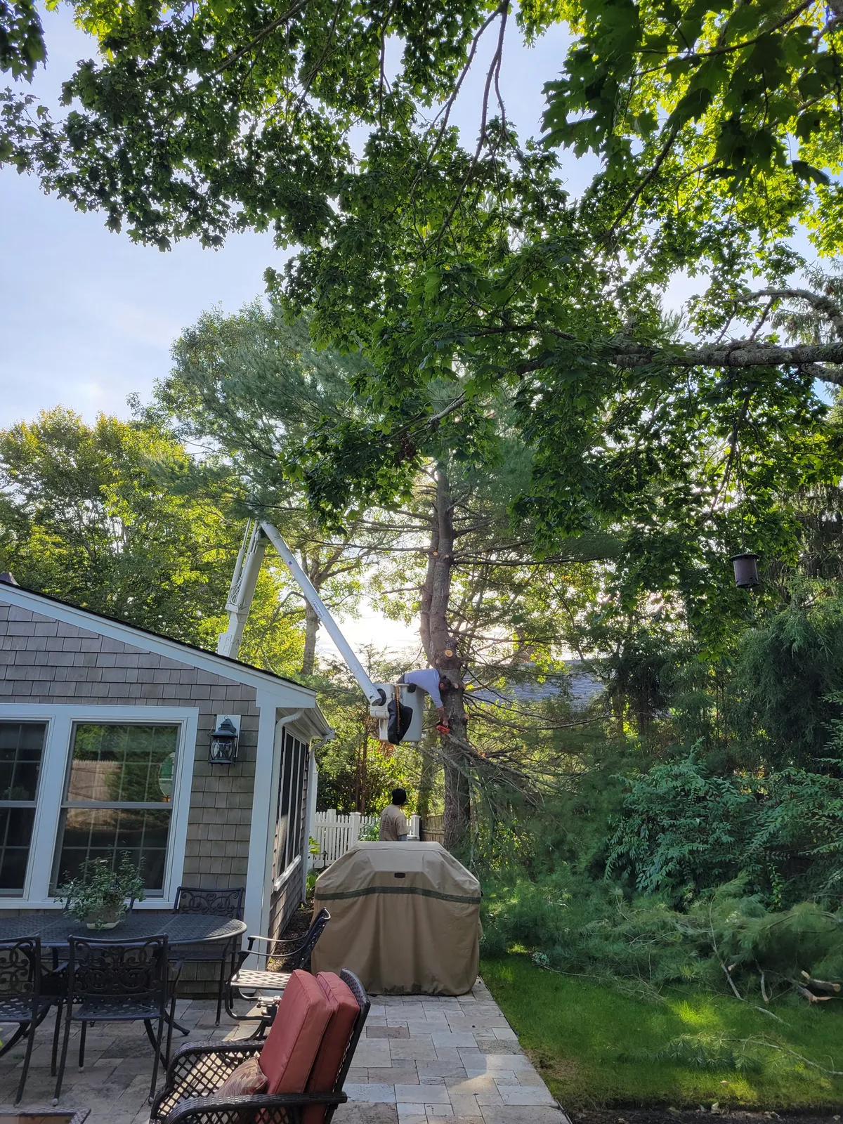 work photo from Google listing