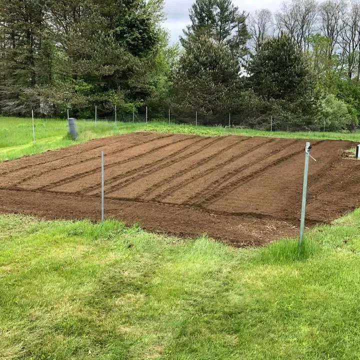 Shaheen Landscaping researched project photo