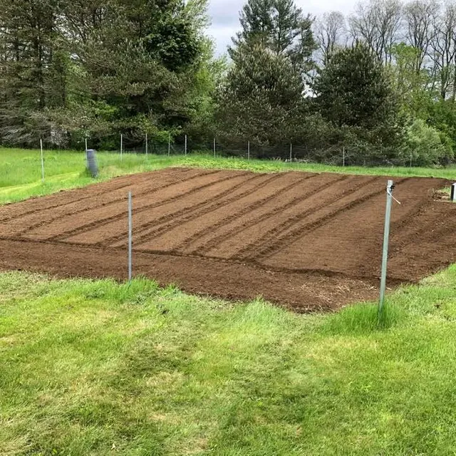 Shaheen Landscaping researched project photo