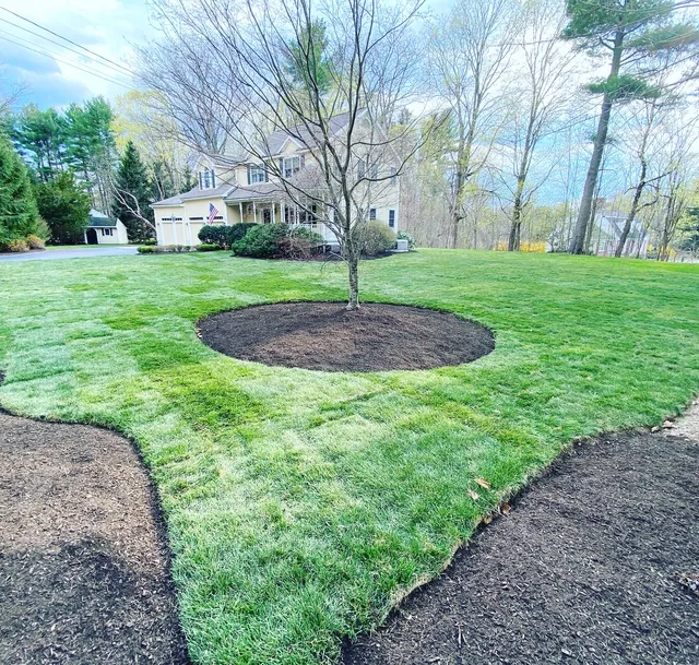 Nazario's Landscaping & Construction LLC work photo