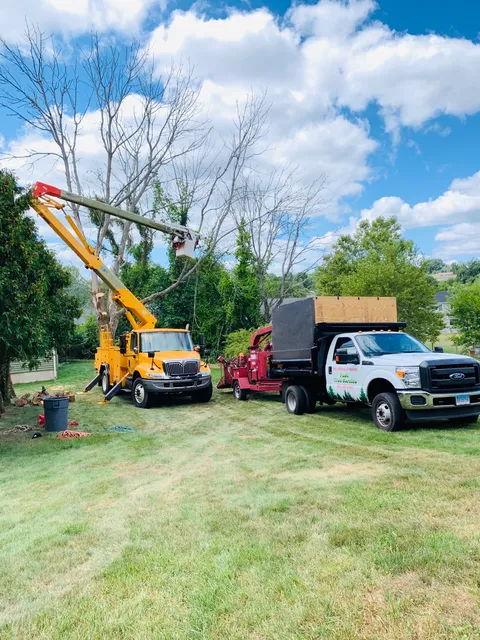 FastTreeServiceLLC work photo