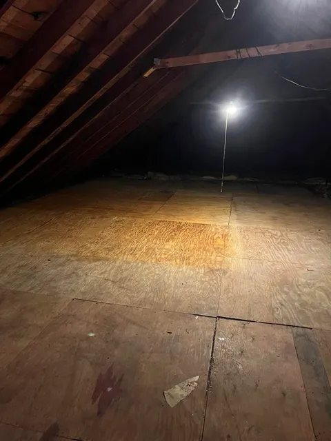 work photo from rustysjunkremoval.com