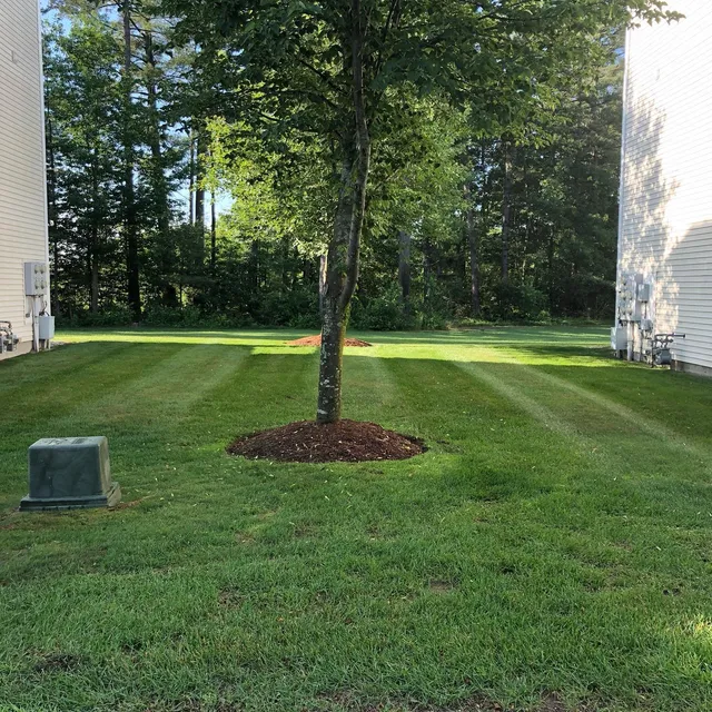 Turf Titan Landscaping work photo