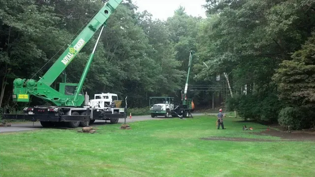 tree removal crane and bucket truck