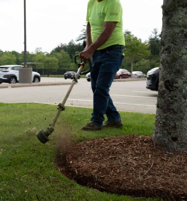 Almeidas Image Lawn Care