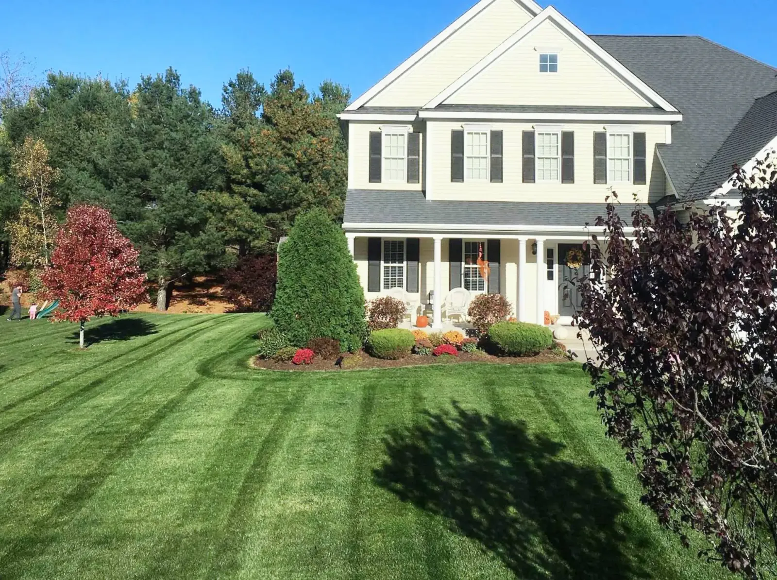 a well-maintained green lawn with stripes, surrounded by trees and shrubs