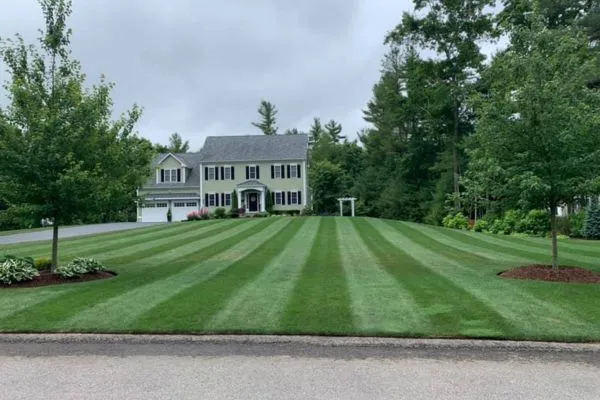 Soldevilla Lawn & Landscape