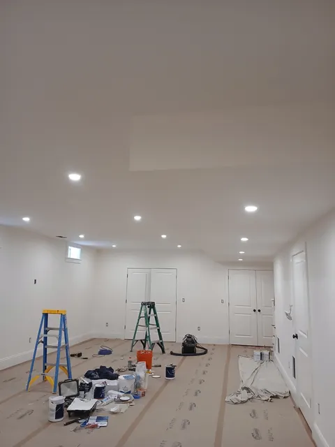 Steven Levine Electric work photo