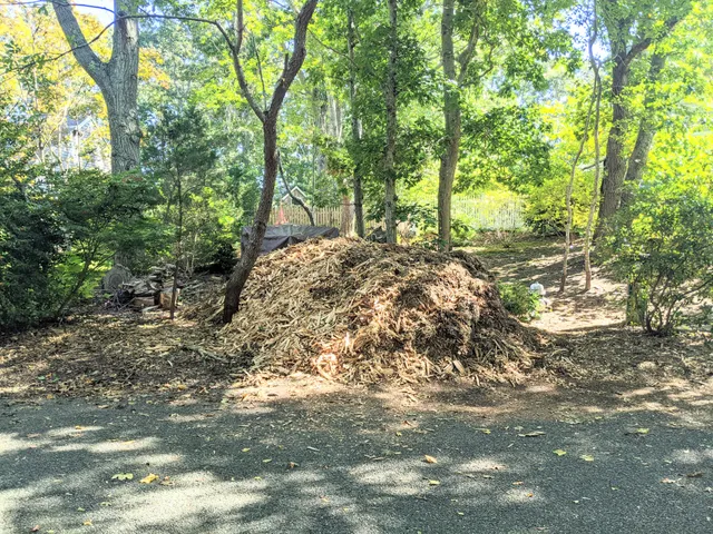 Thomas Tree & Landscape work photo