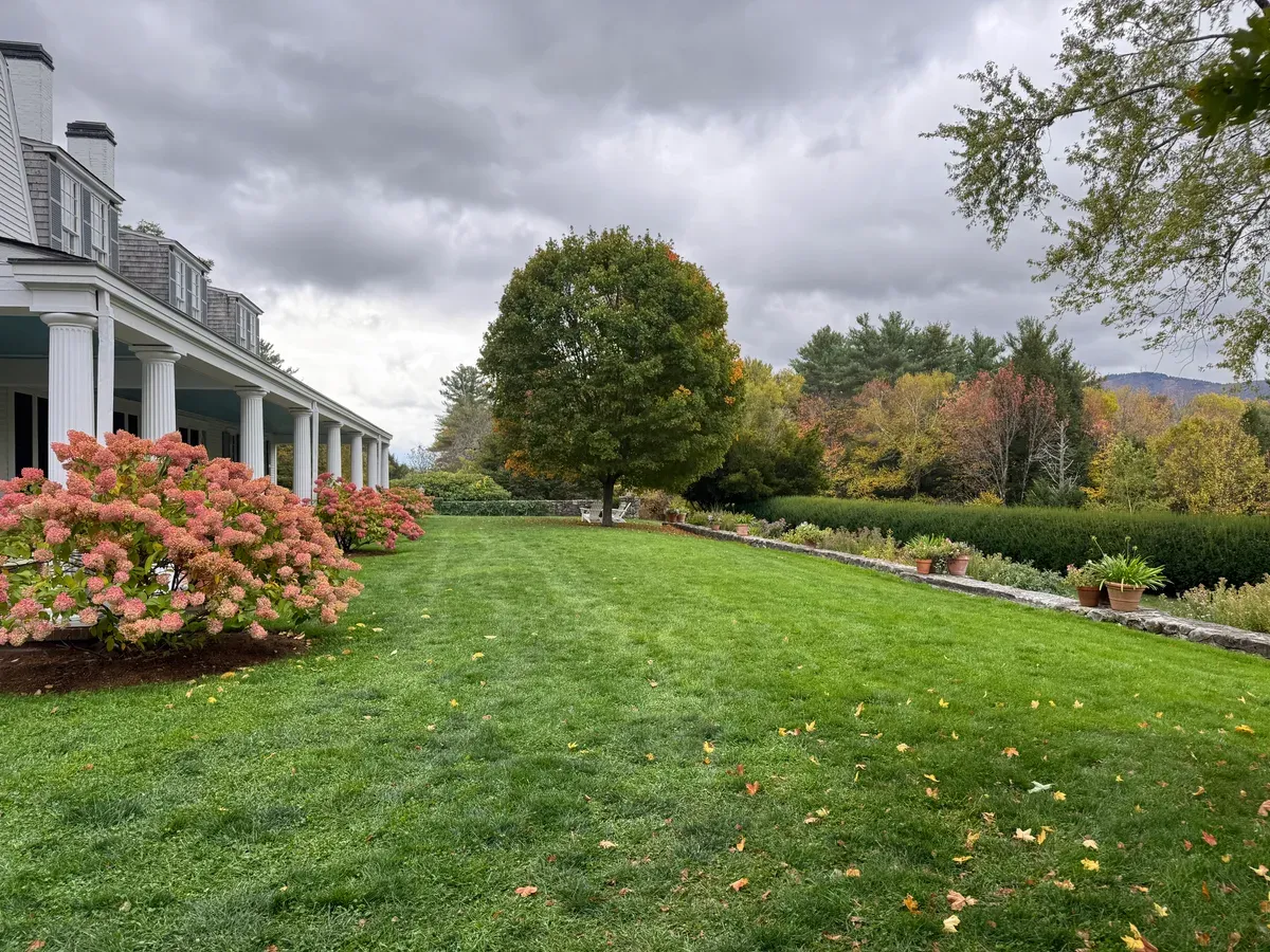 Natural New Hampshire environment with organic lawn