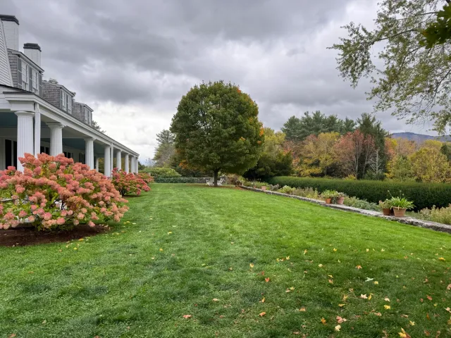 Natural New Hampshire environment with organic lawn